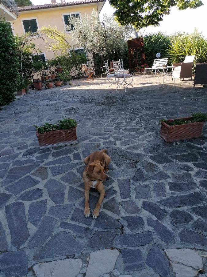 Willa L'Uliveto Montebuono  Zewnętrze zdjęcie